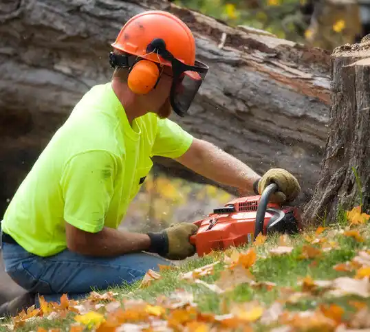 tree services Helena Flats